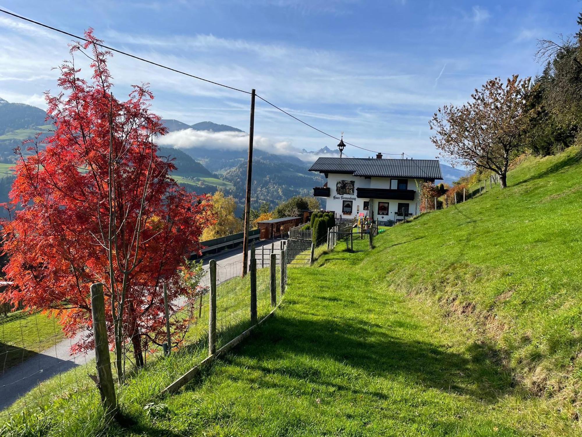 Haus Bodenwinkler Bed and Breakfast Grobming Eksteriør billede